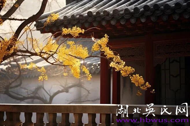 【雅人韵士】吴前进|篱菊似嫌冬色冷,花开几朵慰时人。 【雅人韵士】吴前进|篱菊似嫌冬色冷,花开几朵慰时人。