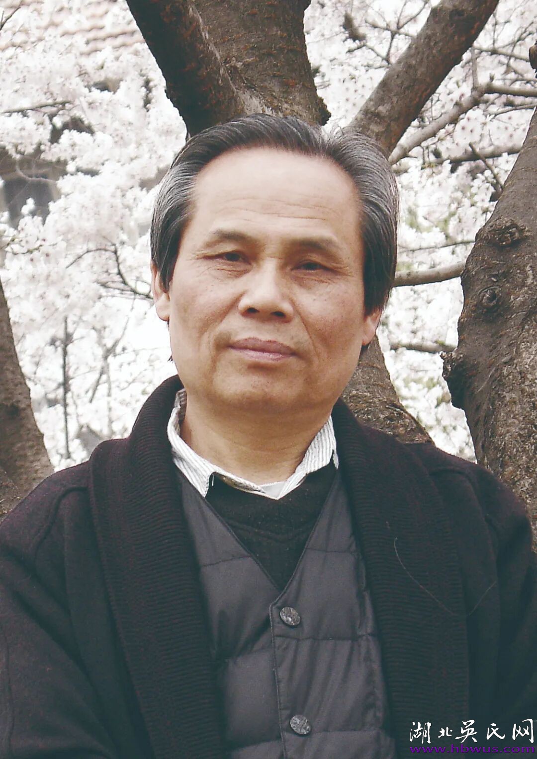 武汉著名画家：吴良发