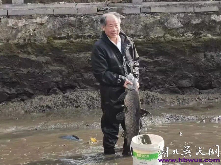 小年里的家乡味     ——吴家畈年宴，族人的团圆时刻