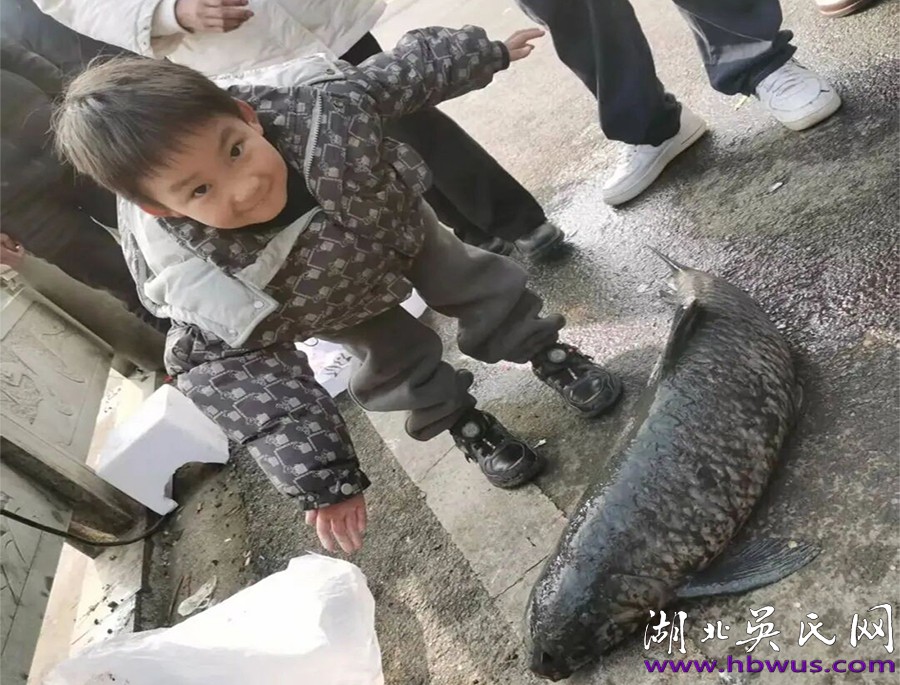 小年里的家乡味     ——吴家畈年宴，族人的团圆时刻